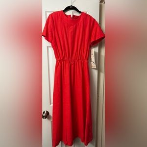 Lindsey Scott Dress new with tags. Size 12P